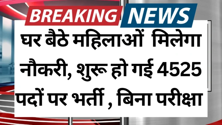 mukhyamantri-work-from-home-yojana-2025